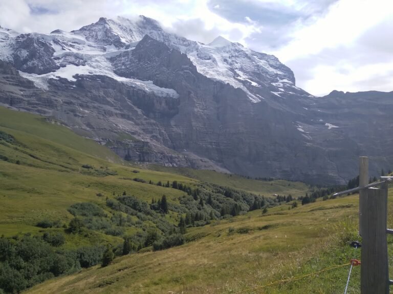 Essential-Hiking-Safety-Tips-Every-Beginner-needs