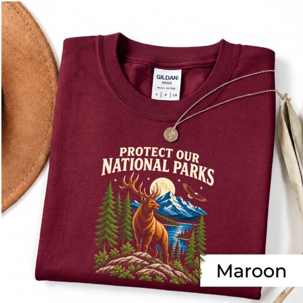 Protect Our National Parks Shirt | Vintage Wildlife T-Shirt